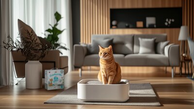 Jak často měnit a čistit stelivo pro kočky?